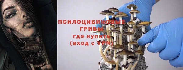Альфа ПВП Карпинск
