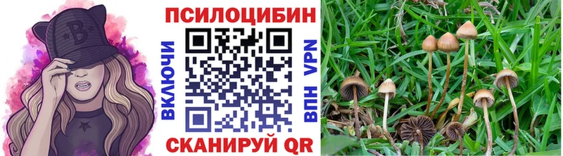 Купить где  Красноперекопск  Галлюциногенные грибы ЛСД 